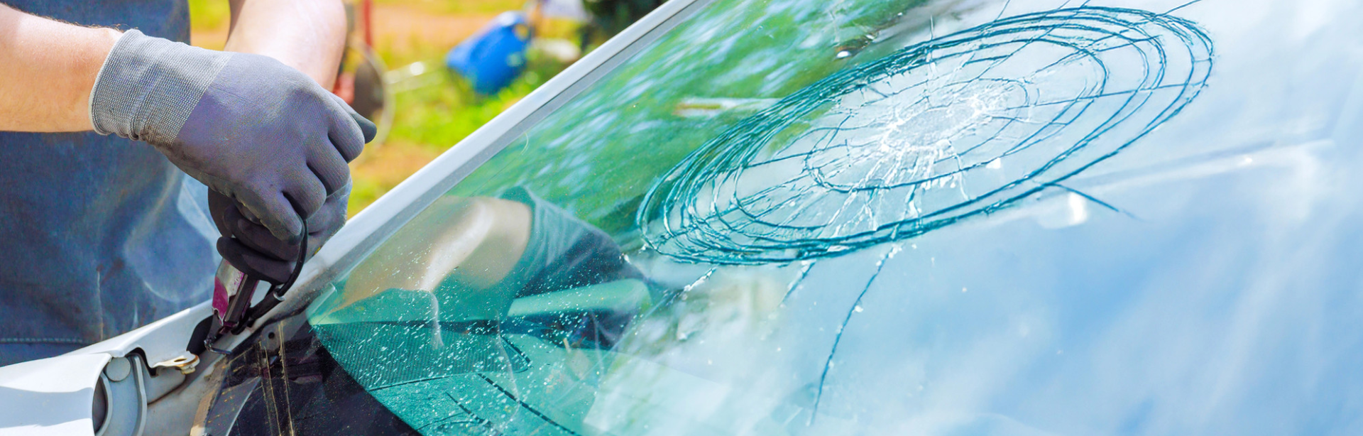 Windshield