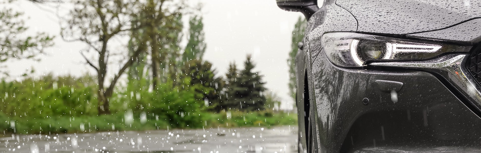 Certified Hail Damage Repair in Madison WI